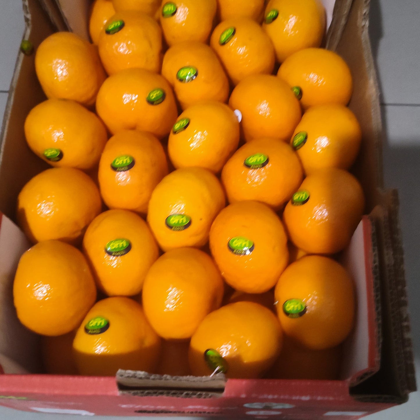 Mandarina importada