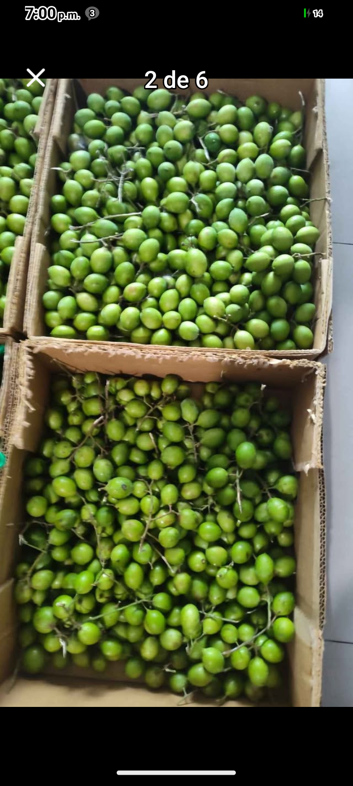 Mamoncillos